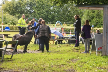 Agility Stald Pitstop 008