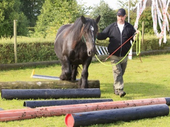 Agility Stald Pitstop 023