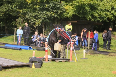Agility Stald Pitstop 025