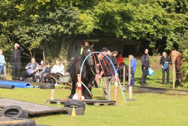 Agility Stald Pitstop 026