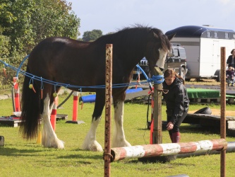 Agility Stald Pitstop 028