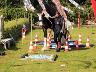 Agility Stald Pitstop 042