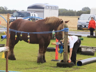 Agility Stald Pitstop 053