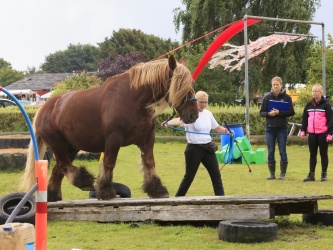 Agility Stald Pitstop 059