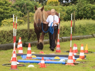 Agility Stald Pitstop 064