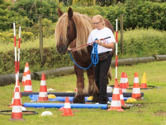 Agility Stald Pitstop 066