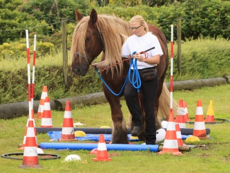 Agility Stald Pitstop 067
