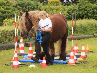 Agility Stald Pitstop 068