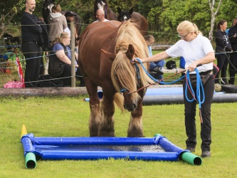 Agility Stald Pitstop 079
