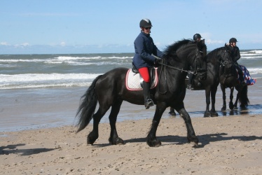 Danmarks Største Barok event