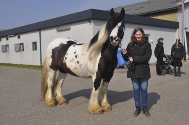 Dansk Tinkerforening